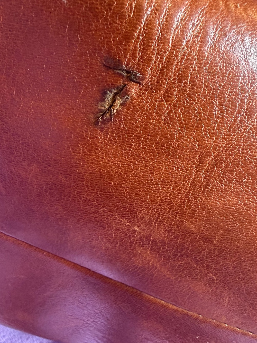 Madewell Leather Tote in Warm Chestnut Brown - Picture 7 of 8